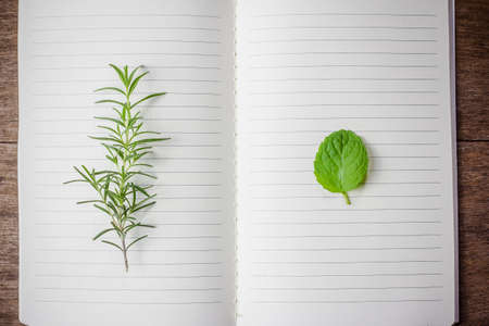 Open recipe book with fresh herbs on wooden backgroundの写真素材