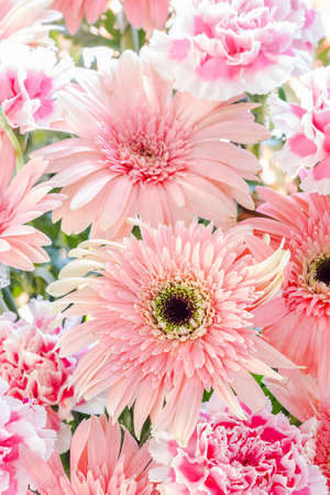 beautiful pink flowers backgroundの写真素材