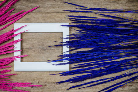 Closeup colorful grass flowers on wooden backgroundの写真素材