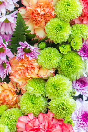 Abstract background of flowers. Close-up. Beautiful flowers background for wedding sceneの写真素材