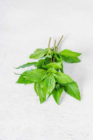 Sweet Basil Leaf (Ocimum basilicum Linn) on white wooden Background.の写真素材