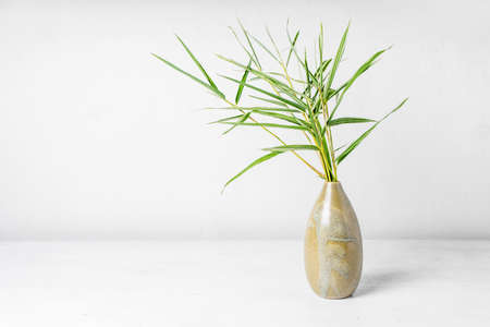 Bamboo leaf in vase on table background.の写真素材