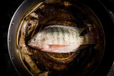 Fresh tilapia or nile tilapia fish in potの写真素材