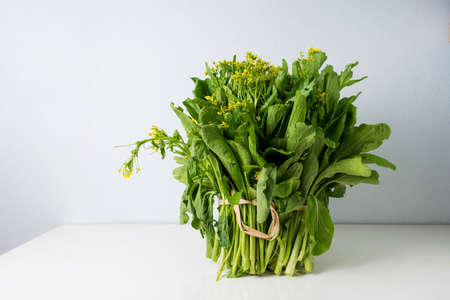 Bog choy vegetable on white table backgroundの写真素材