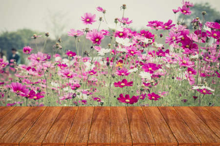 Empty table ready for your product display montageの写真素材