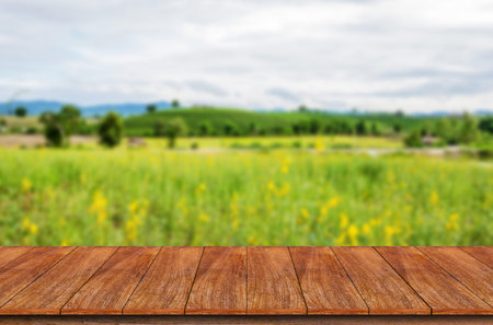 Wood table top on blur sunhemp flower background - can be used for montage or display your products