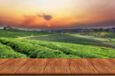 Empty wooden table and blur tea plantation background - can used for display or montage your productsの写真素材