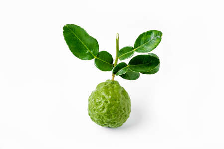 fresh bergamot fruit and bergamot leaves on white background.の写真素材
