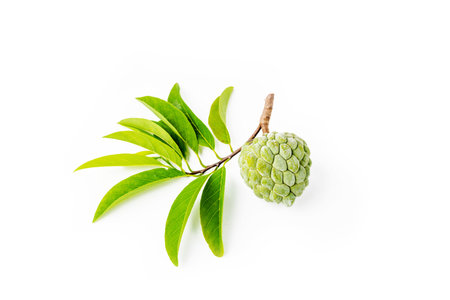 Fresh custard apple or sugar apple on white background