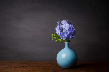 Blue plumbago flowers in vase (Cape Leadwort or Plumbago auriculata) on wooden tableの写真素材