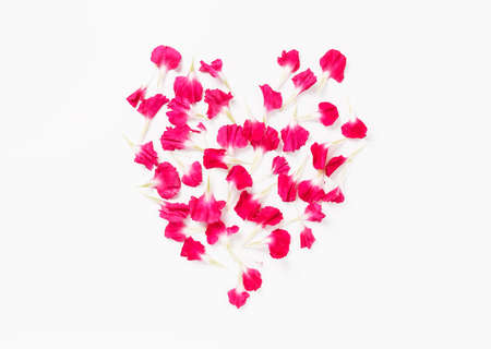 Carnations flowers in heart shape arrangment on white background.の写真素材
