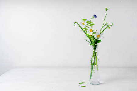 wild flowers in glass bottle on white background.の写真素材