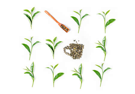 Tea leaves and wooden scoop on white background. Top viewの写真素材