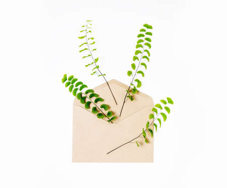 envelope and a present in eco paper on white backgroundの写真素材