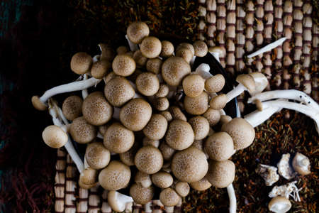 fresh buna shimeji mushrooms on wooden tableの写真素材