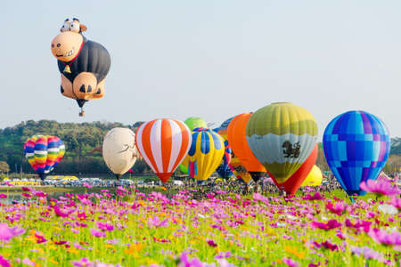 CHIANGRAI Thailand - FEBUARY 16 2017 : Singha Park International Balloon Fiesta 2017 in Singha Park, Chiang Rai, Thailand.のeditorial素材