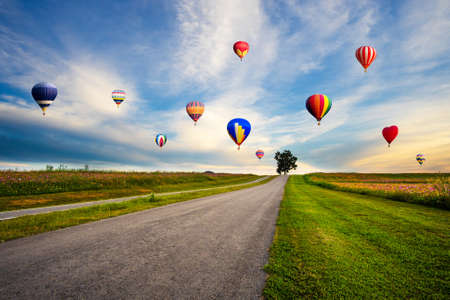 Colourful hot air balloons flying over cosmos flower field on sunsetの写真素材