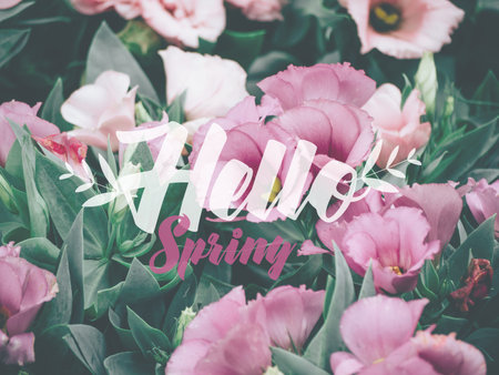 Hello Spring Lettering with Lisianthus or Eustoma plants flower.
