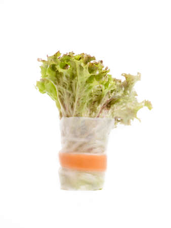 Fresh cut salad rolls isolated on white backgroundの写真素材