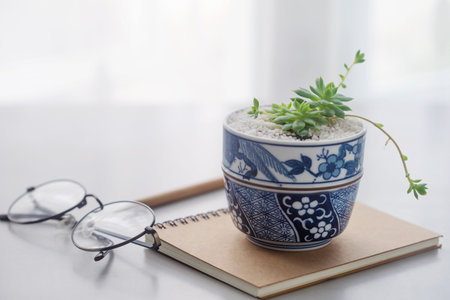 Close up Cactus in ceramic pot on table
