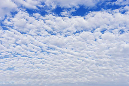 Cloudscape with altocumulus clouds, Altocumulus middle-altitude cloud in stratocumuliform - natural backgroundの写真素材