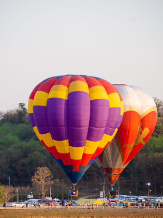 CHIANGRAI Thailand - FEBUARY 12-16 2020 : Singha Park ChiangRai International valentine's Balloon Fiesta 2020 in Singha Park, Chiang Rai, Thailand.のeditorial素材