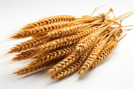 Horizontal wheat ears isolated on a white background. generative aiの素材