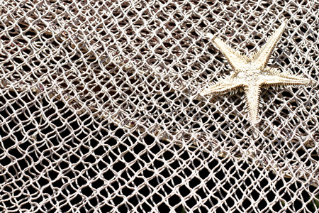 Starfish and fishnet background の写真素材