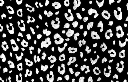 Leopard Printの写真素材
