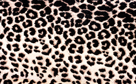 Leopard Printの写真素材