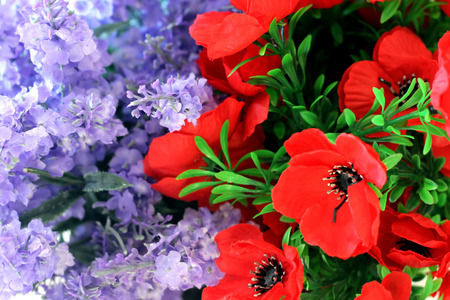 Flowersの写真素材
