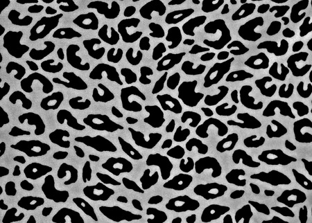 Leopard Backgroundの写真素材