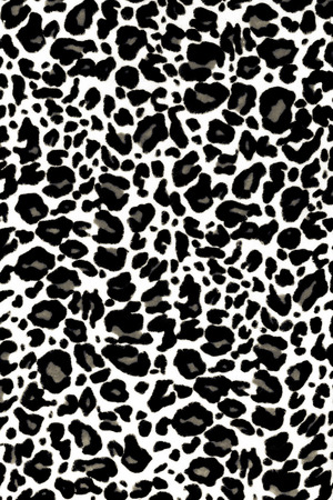 Leopard Printの写真素材