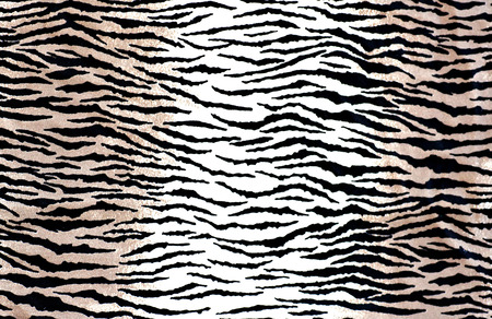Animal Print Textureの写真素材