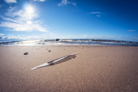 feather in the sand, a symbol of truth and lightness, the element of wind and air, blur close-upの写真素材