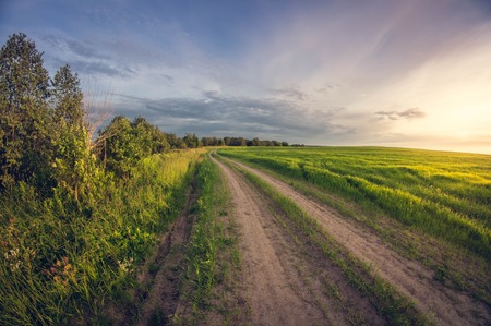 Landscape dirt road in a field at sunset leaving distant, fisheye distortionの写真素材