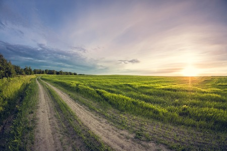 Landscape dirt road in a field at sunset leaving distant, fisheye distortionの写真素材
