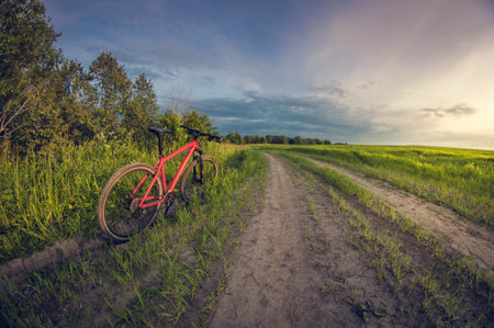 Bicycle near the road in the field in the evening at sunset