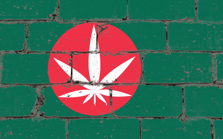 Graffiti street art spray drawing on stencil. Cannabis white leaf symbol on brick wall with flag Bangladeshの写真素材