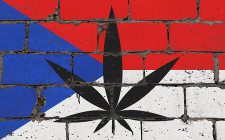 Graffiti Street art. Figure spray stencil. Symbol - cannabis leaves on a brick wall with the image of the flag of Czechの写真素材