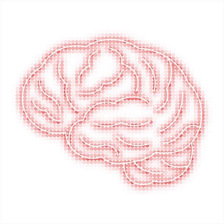 human brainのイラスト素材