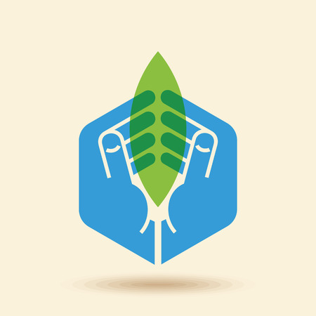 leaf in hands. conservation conceptのイラスト素材