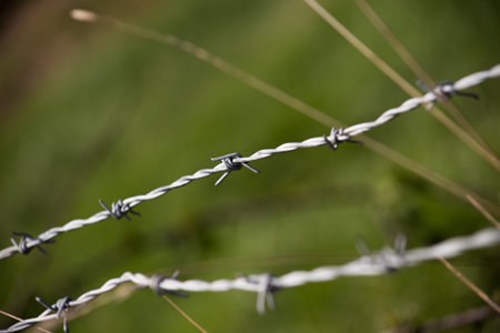 closeup photo of a barbed wire fence in the countryside