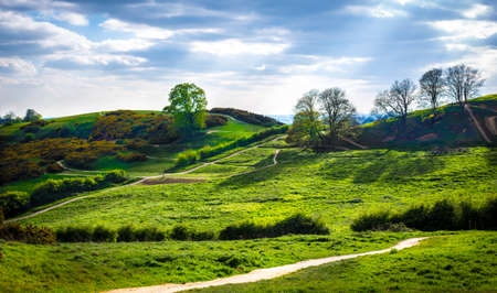 hills and mountain bike trails of Hadleigh Park near Benfleet, Essex, UKの写真素材