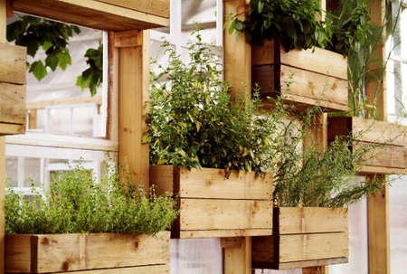 photo of a home garden installationの写真素材