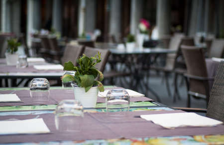 little green plant on a table at an Italian restaurant in Leccoの写真素材