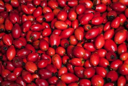 closeup photo of rosehip berries ready to be dried on a baking trayの写真素材