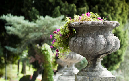 closeup of a stone flower vase photographed in Italyの写真素材