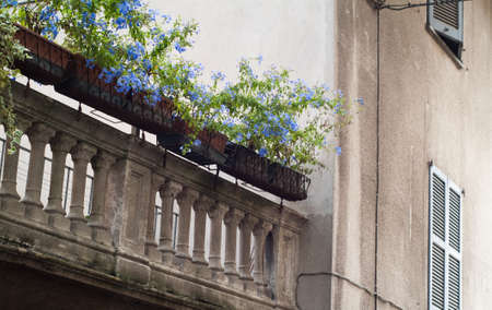 closeup of an old Italian balcony covered with flowersの写真素材