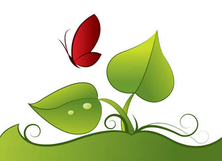 nice and fresh green leaves and red butterflyの写真素材